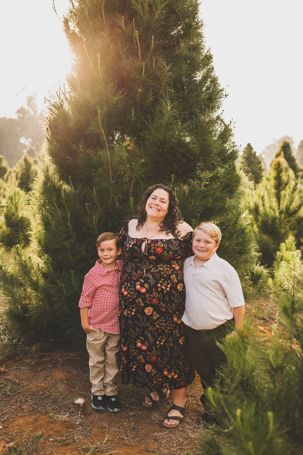 A woman and two young boys smile together at a Christmas tree farm, surrounded by tall green pine trees in warm sunlight.
