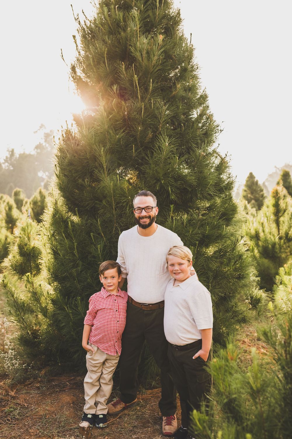 Father and two sons smiling at a Christmas tree farm with tall green pine trees and warm sunlight.