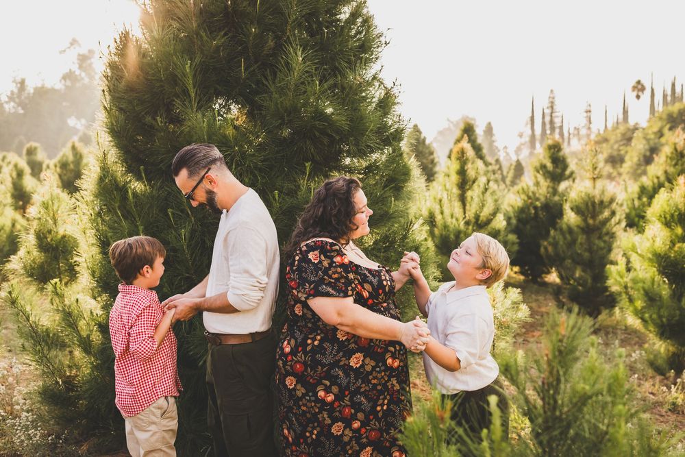 Family of four enjoying a sunny day at a Christmas tree farm, with two young boys and their parents among lush green trees.