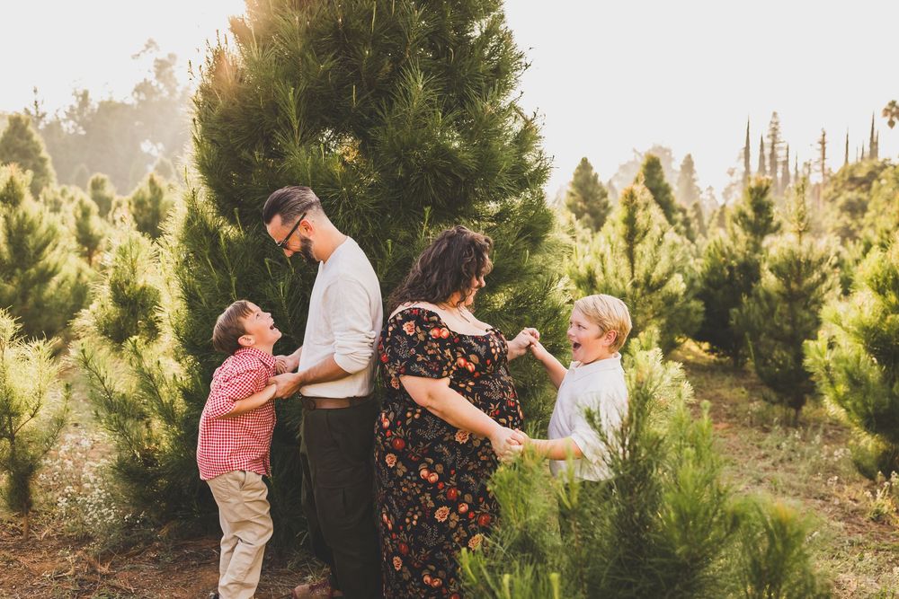 Family of four enjoying a sunny day at a Christmas tree farm among lush green pine trees.