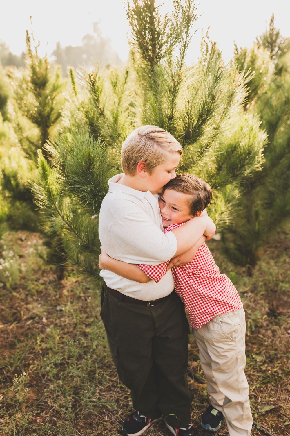 Two boys hugging warmly among green pine trees at a Christmas tree farm for family photos in redlands ca