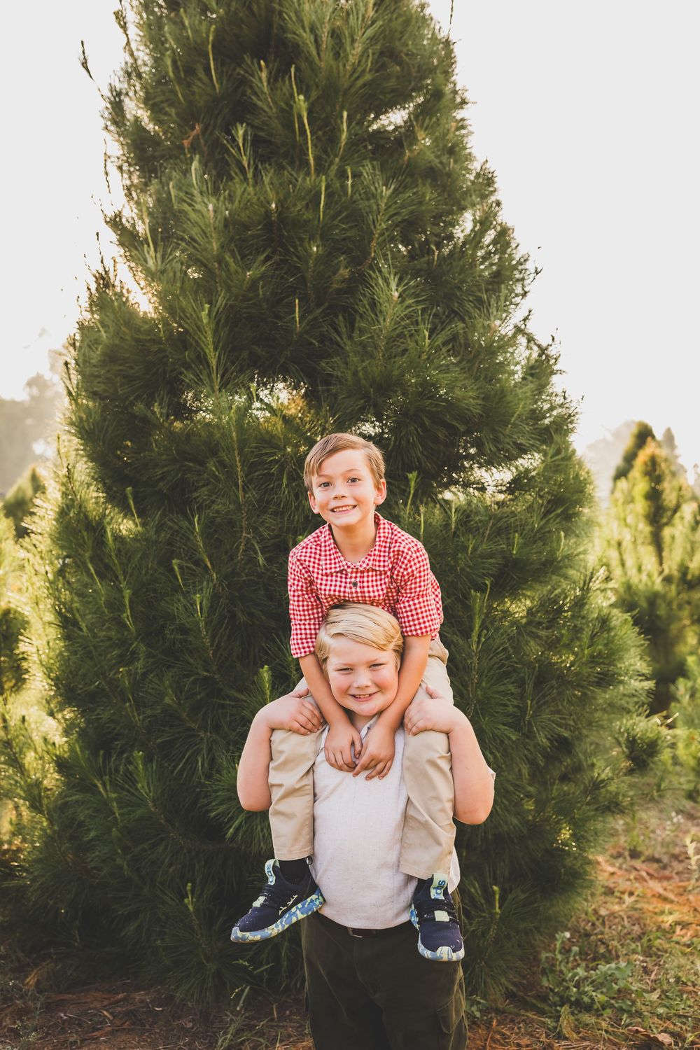 Two boys pose at a Christmas tree farm, one sitting on the other's shoulders, smiling outdoors.