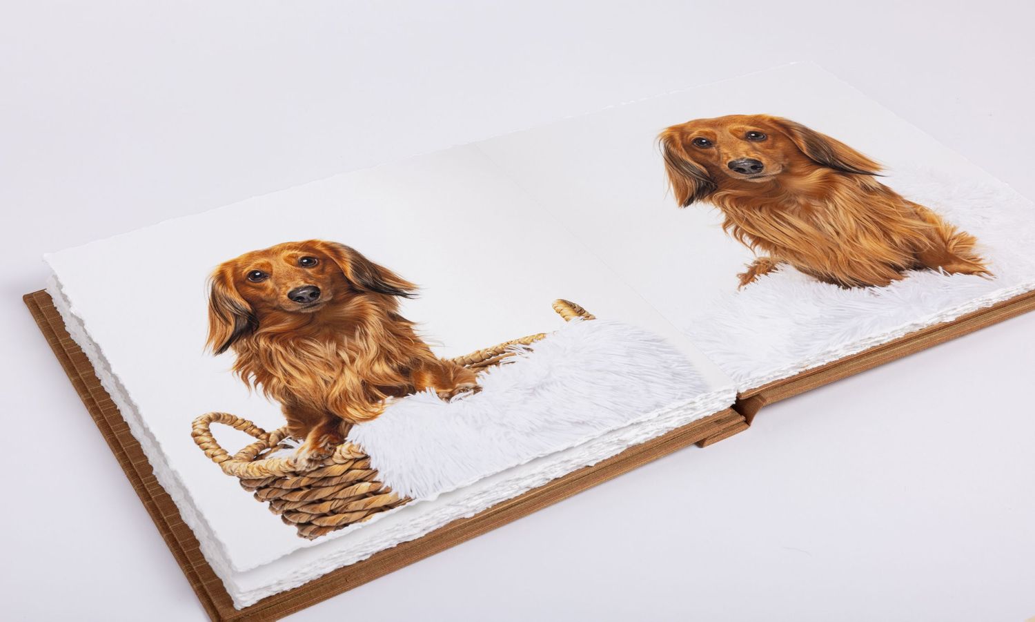Fine art photo album by fetching fido fotography  featuring two images of a  dachshund dog on white pages with a caramel cover.
