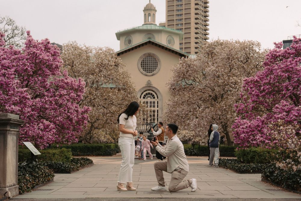 Cherry blossoms bloom around a romantic moment in a garden with a church tower in the background.