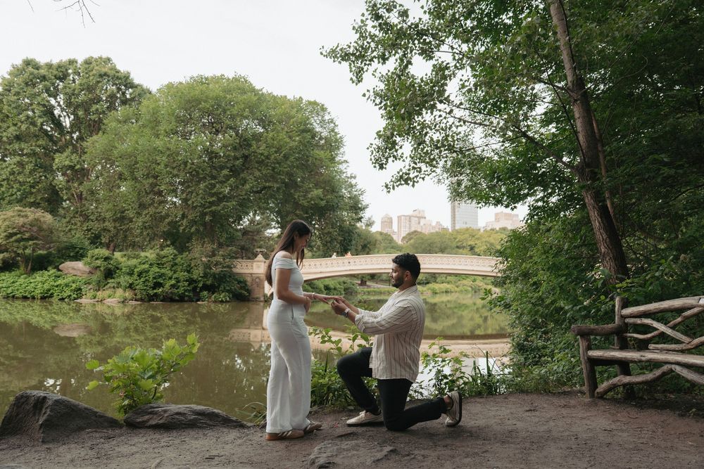 Marriage proposal scene by lake with trees and park bench.