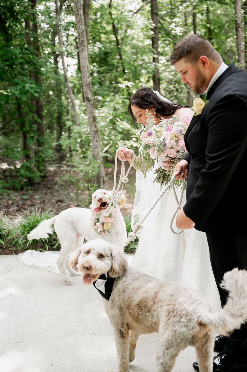 A wedding couple interacts with their fluffy white dog during outdoor photos.
