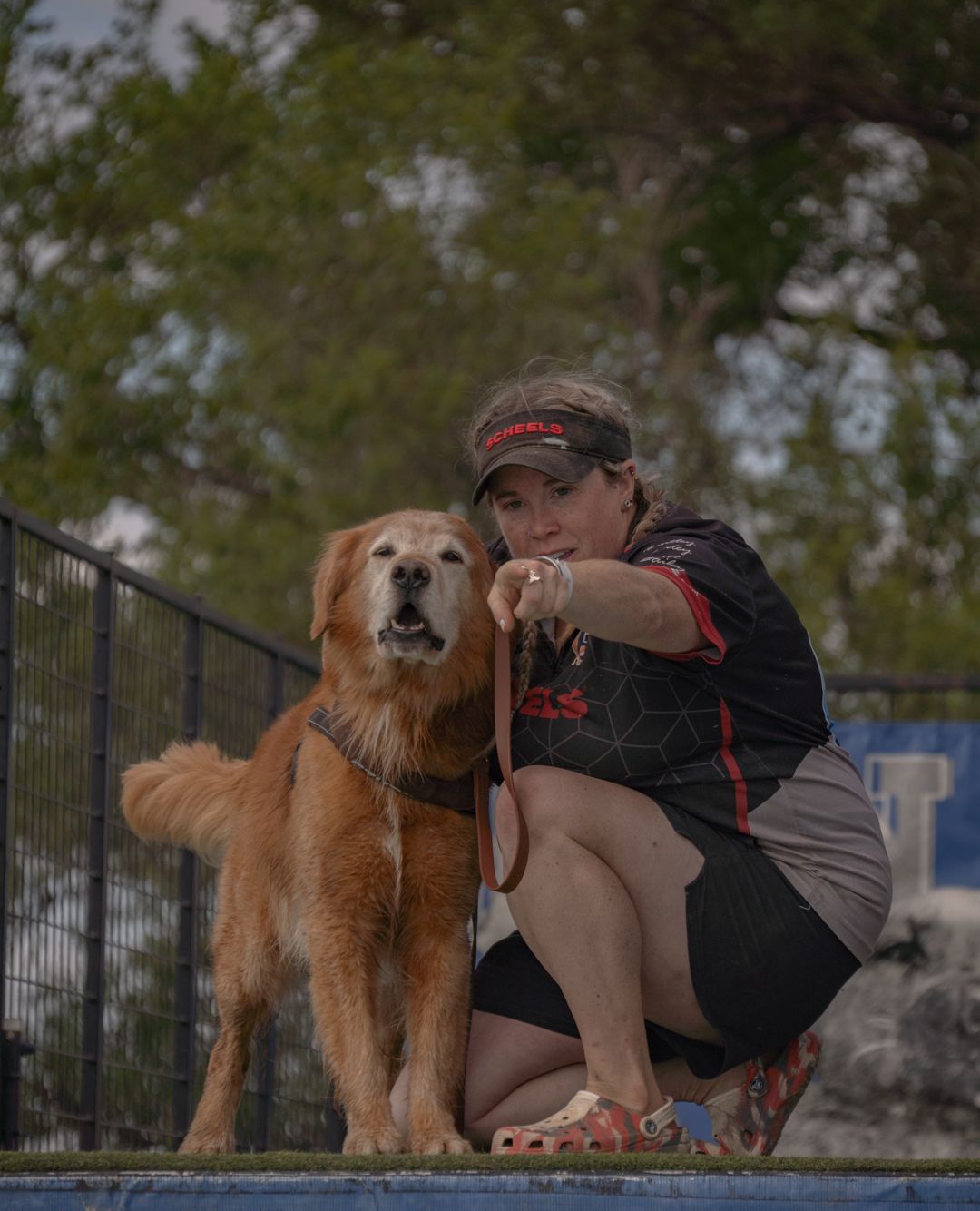 A golden retriever and their companion sit together on a dock near a metal fence on a sunny day.