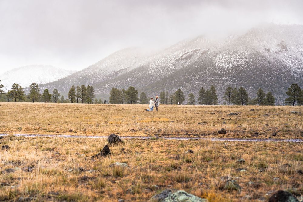 Snow-capped mountains rise above a golden prairie landscape.
