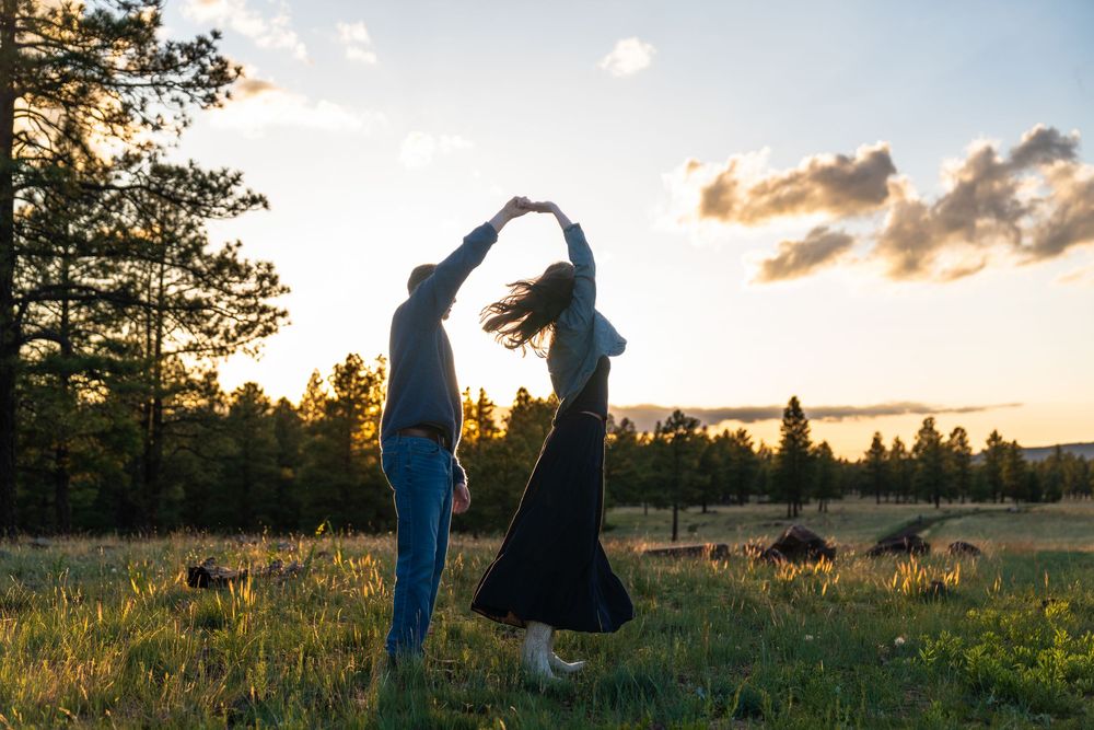 Couple silhouetted against sunset sky in wildflower meadow.