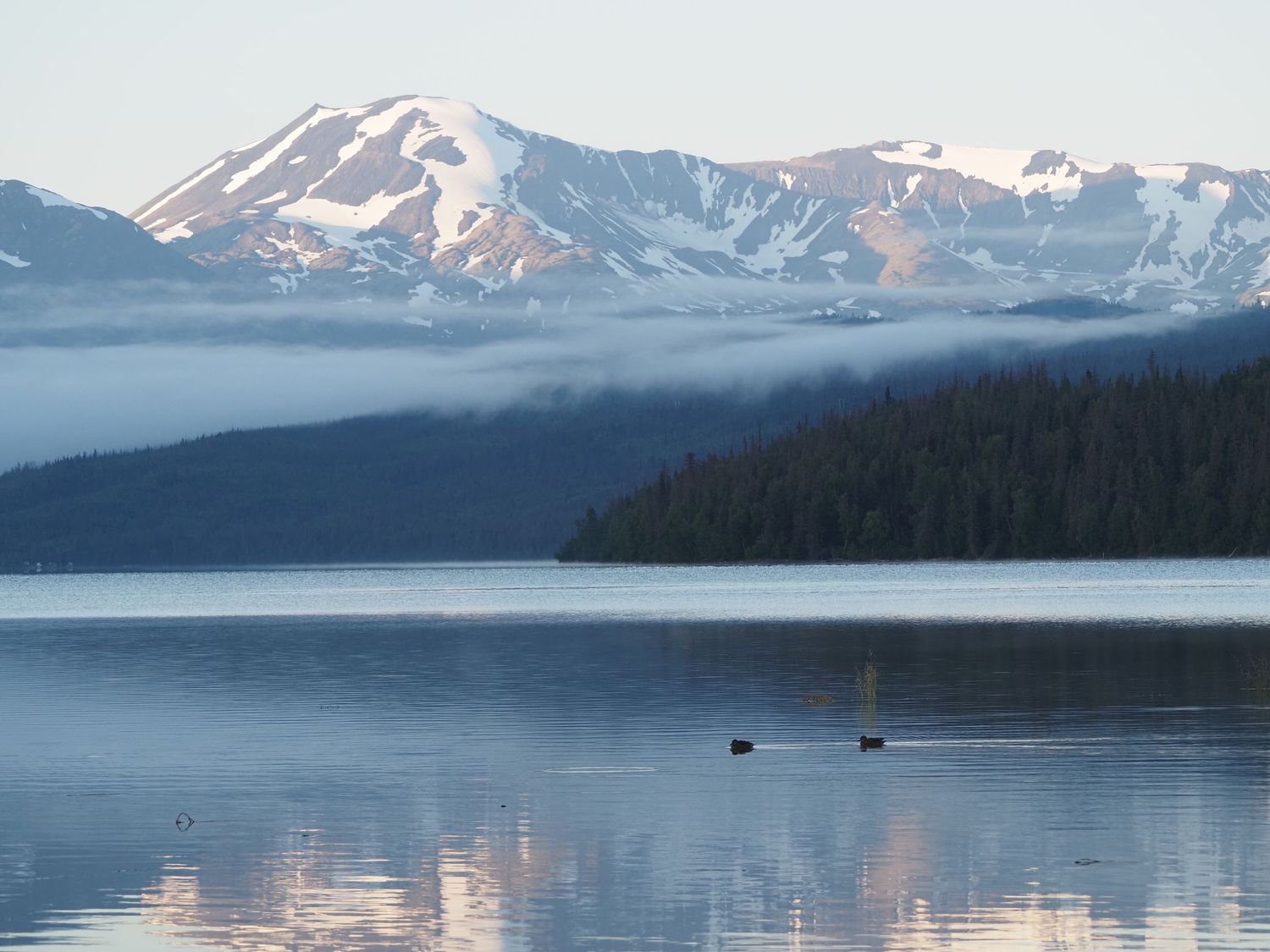 Serene mountain lake reflecting snow-capped peaks with misty forested hills and two birds floating on calm water.