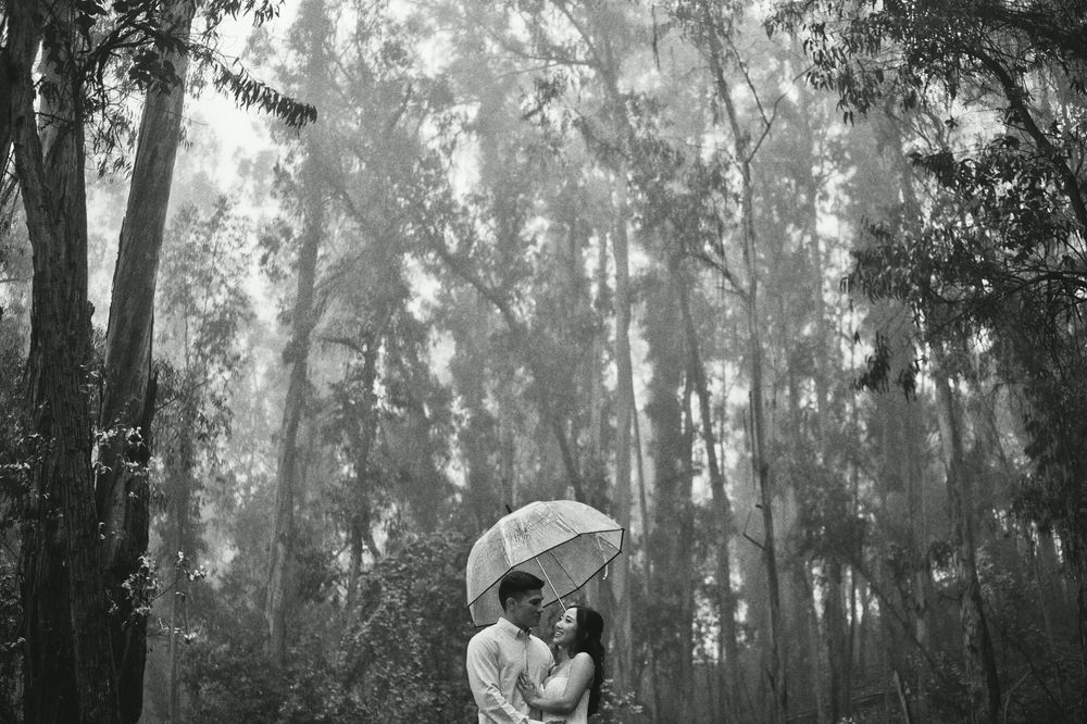 Couple embraces in a misty eucalyptus forest creating a dreamy atmosphere.