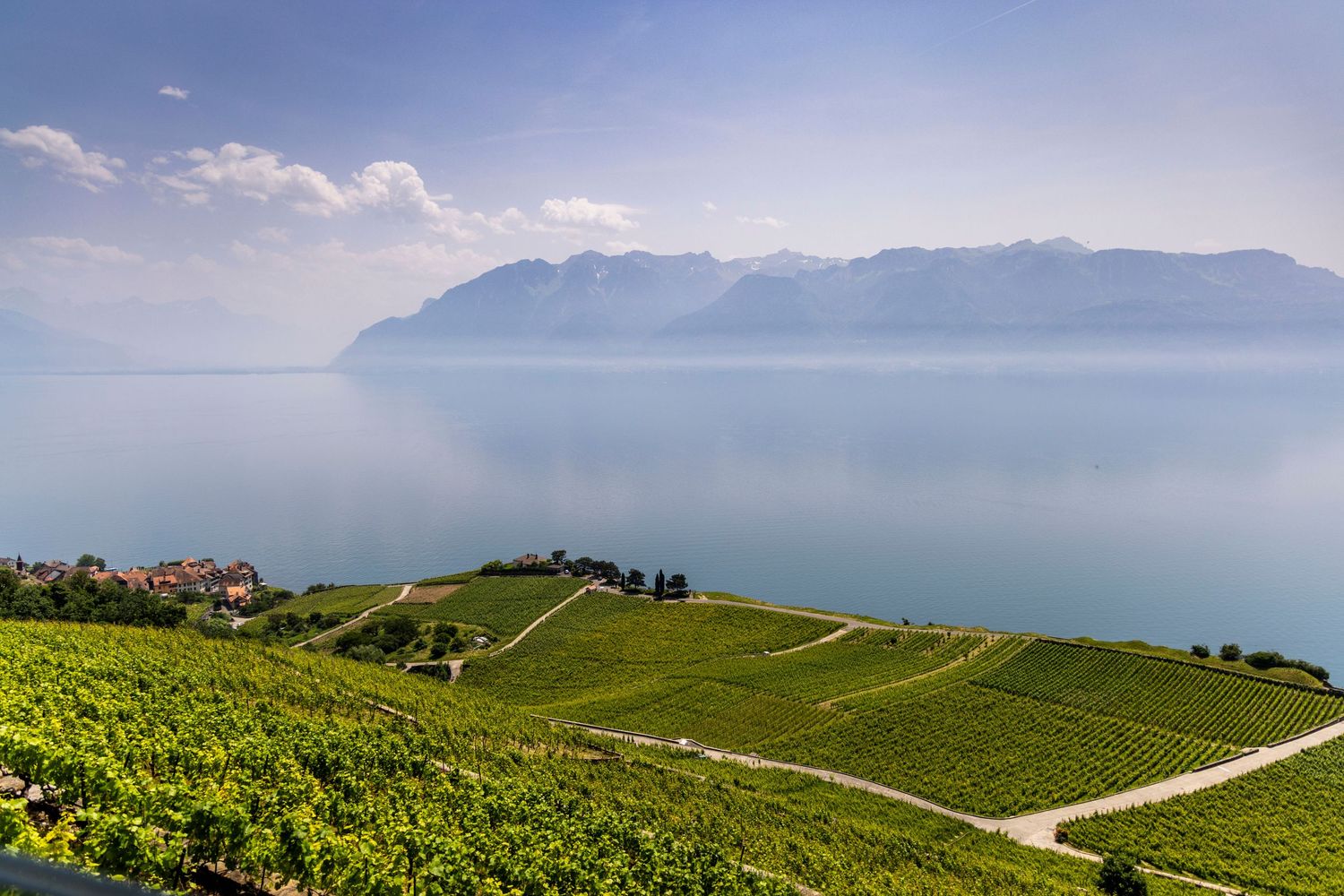 Paysage vignobles suisses lac Léman photographie lifestyle voyage