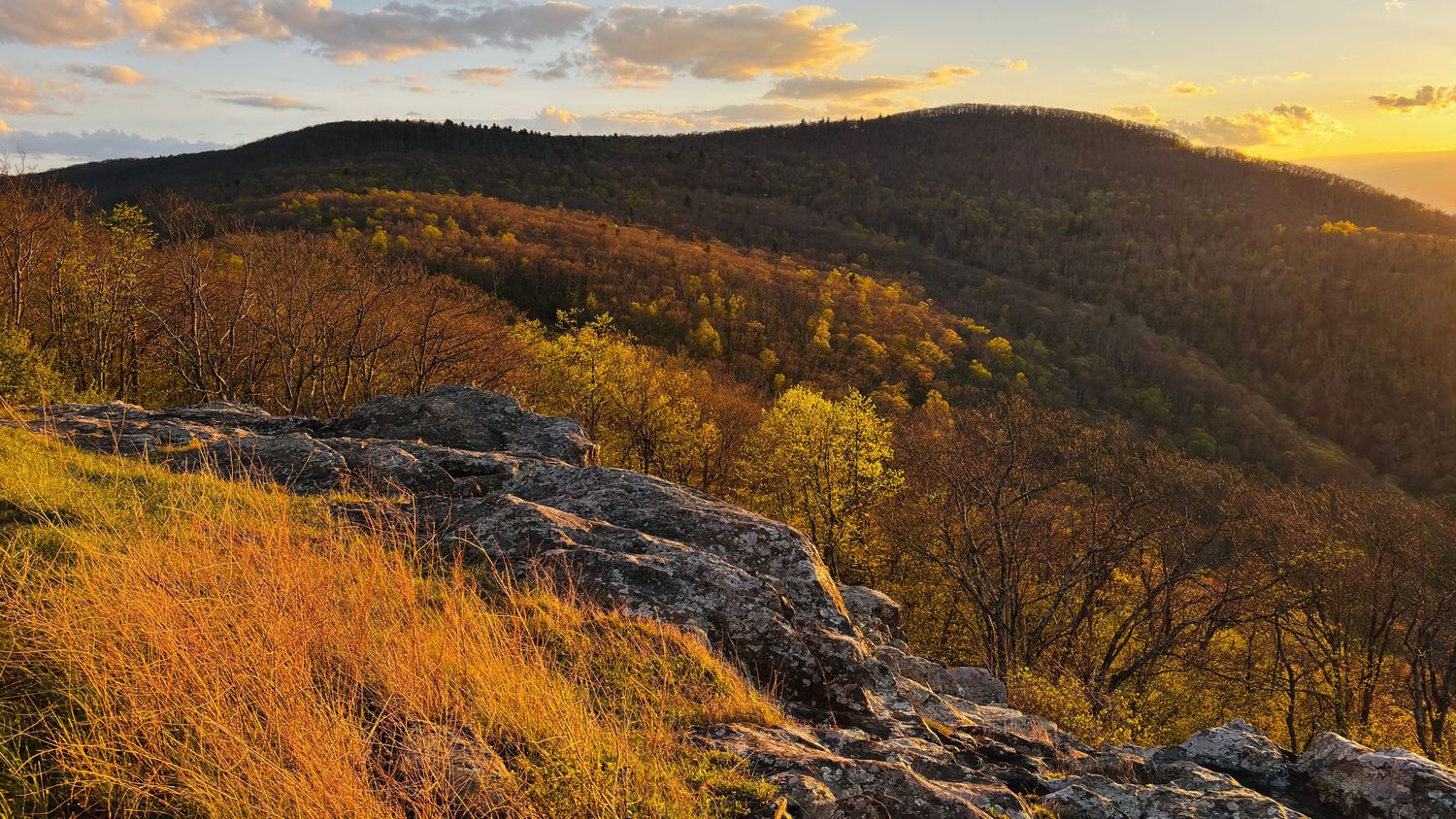 Scenic Beartown Road in Virginia near the West Virginia border.