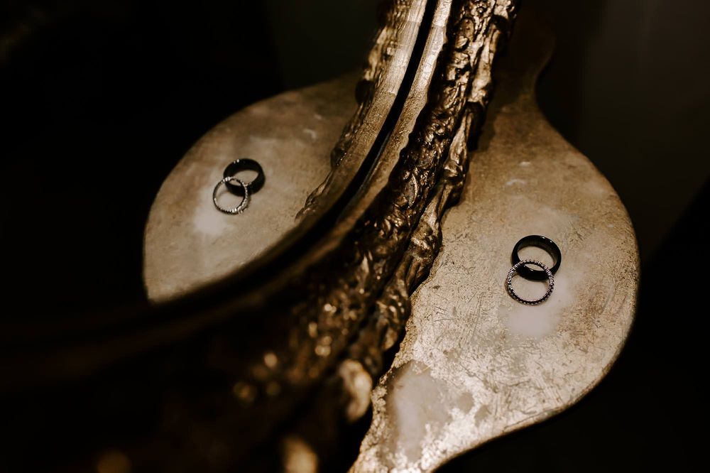 Close-up macro photography of water droplets on dark leaves in dramatic lighting.