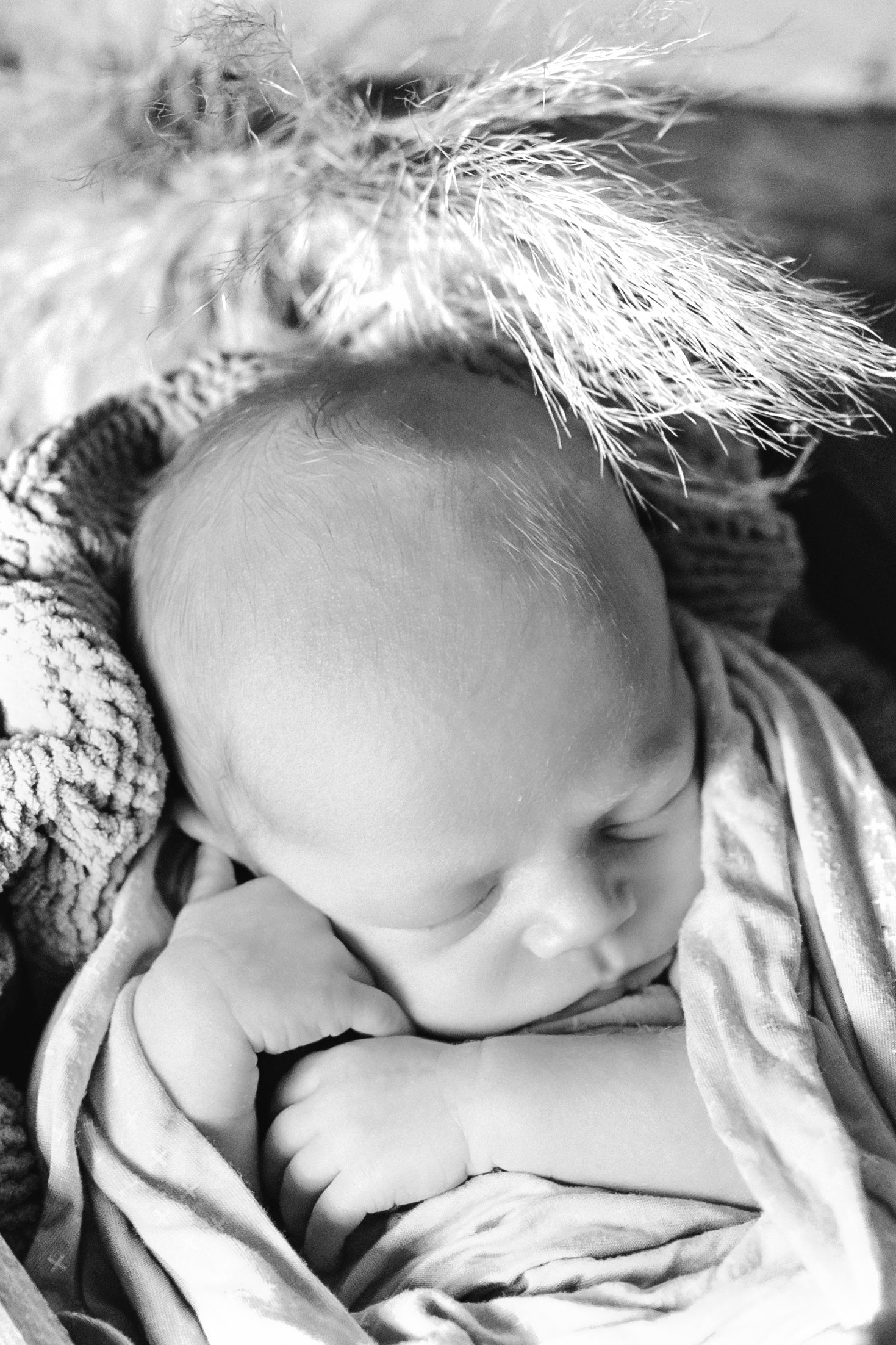Black and white portrait of sleeping infant with soft feathery textures.