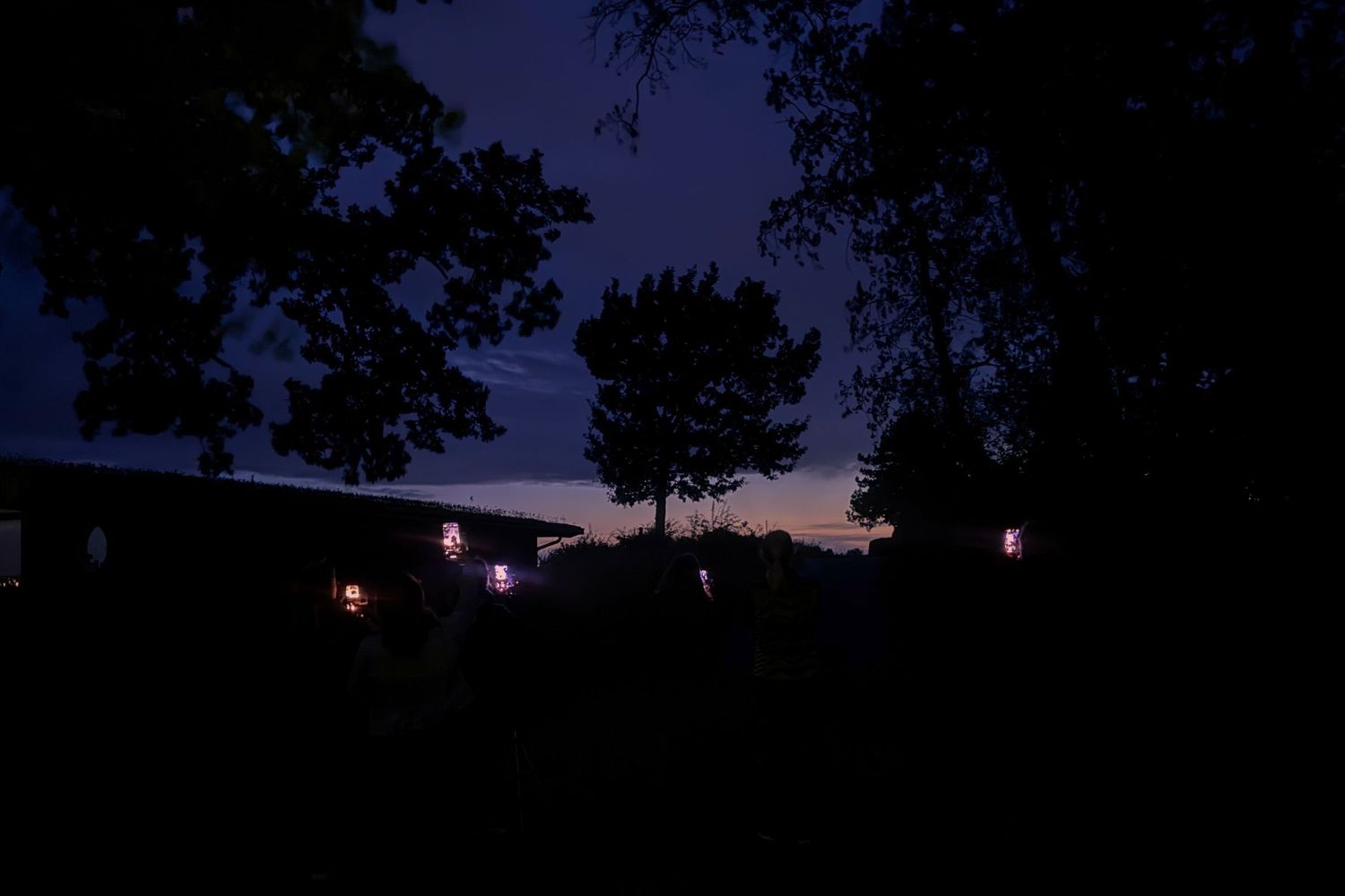 A dark silhouette of tree branches against a dusky purple and pink sunset sky with small glowing lights visible.