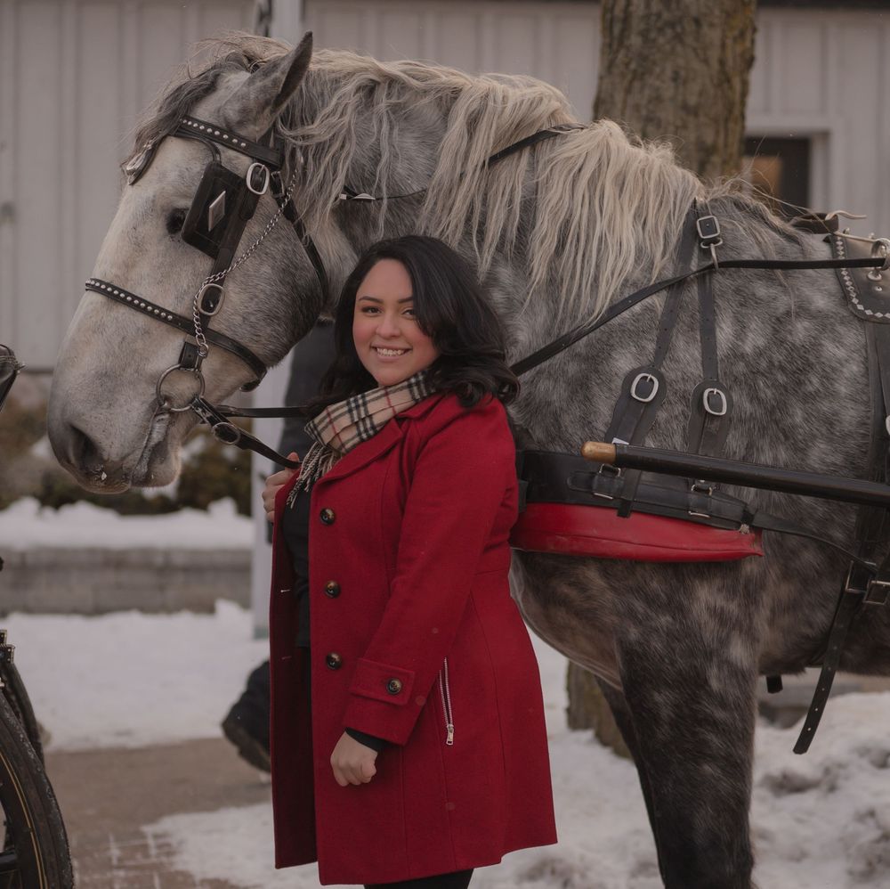 A dappled gray horse stands in snowy winter scene beside someone wearing a bright red coat.