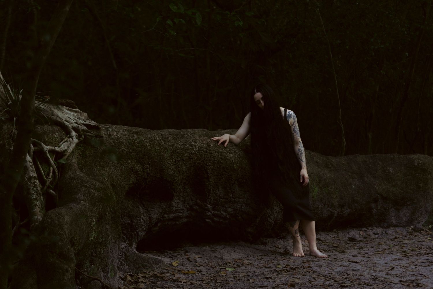 A sequence of dark nature photos showing trees and forest paths at night with minimal lighting.