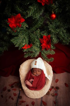 Festive Christmas themed newborn photo with red flowers and evergreen branches.