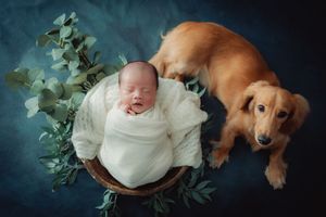 Artistic newborn photography with baby and dog on dark blue backdrop with eucalyptus leaves.