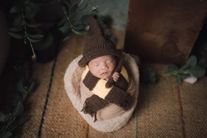 Artistic overhead shots of sleeping baby with woodland-themed props on dark background.