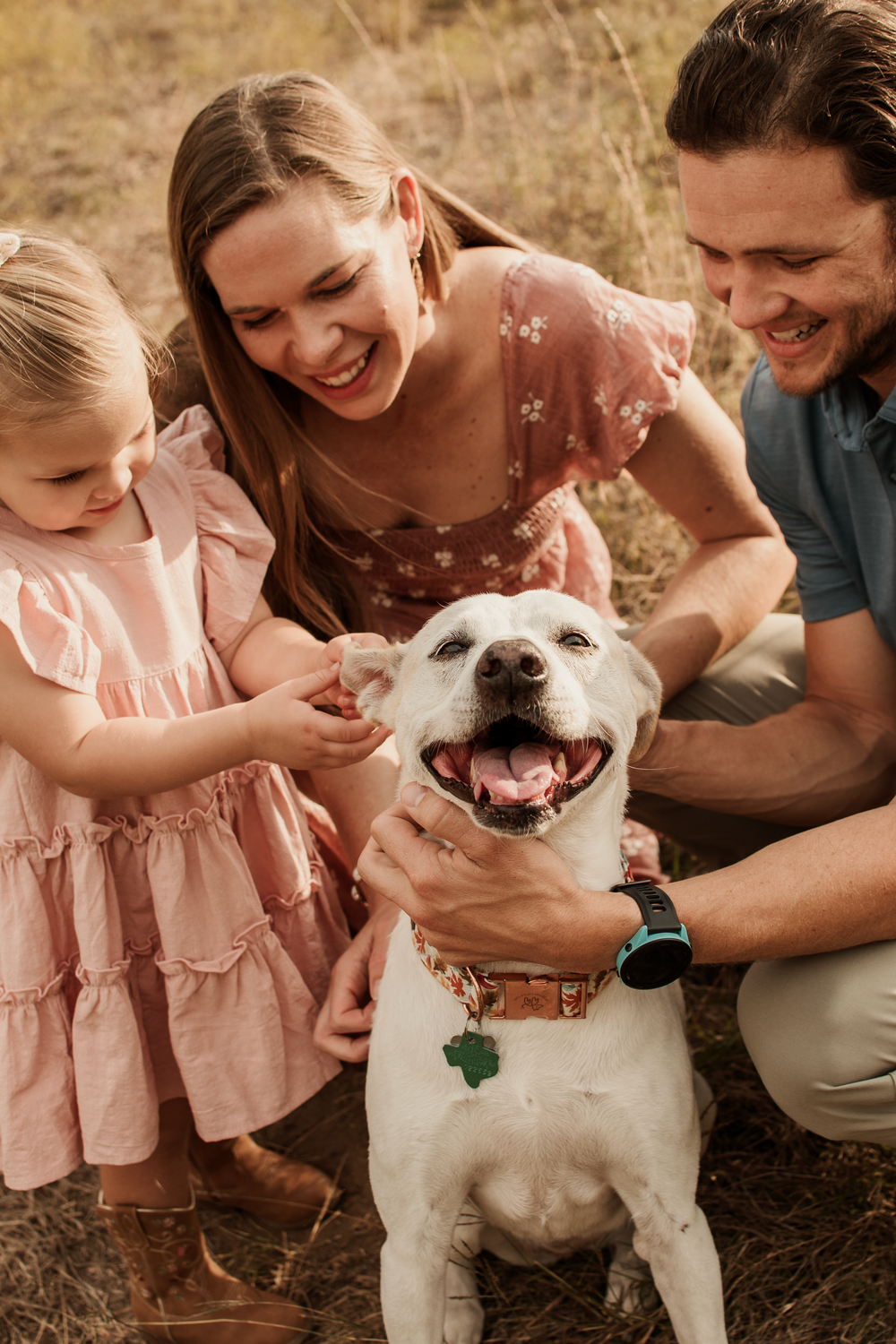 A family lovingly plays with their white dog in a series of candid outdoor photos on dry grass.