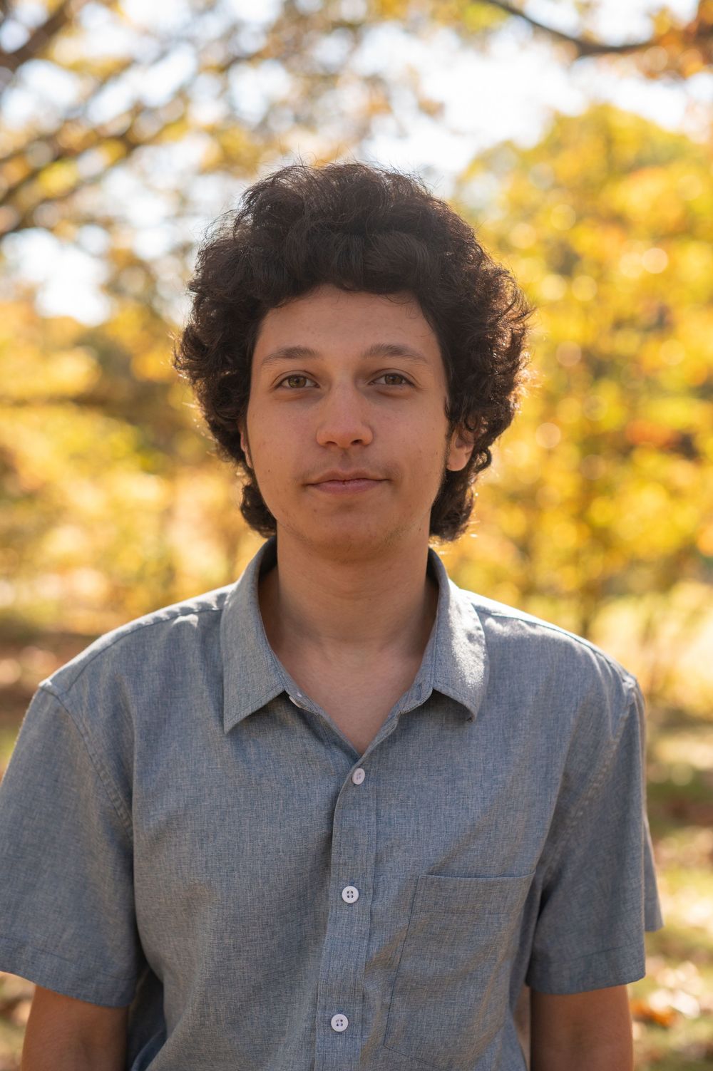 Portrait of someone in a gray button-up shirt against a golden autumn background with bokeh lighting effects.