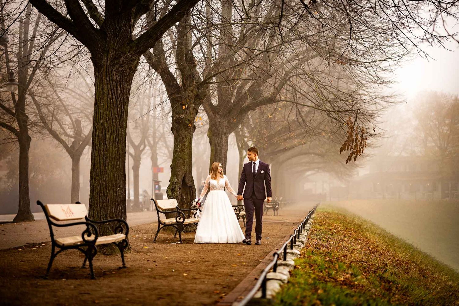 Misty tree-lined path with park benches creates dreamy wedding atmosphere.