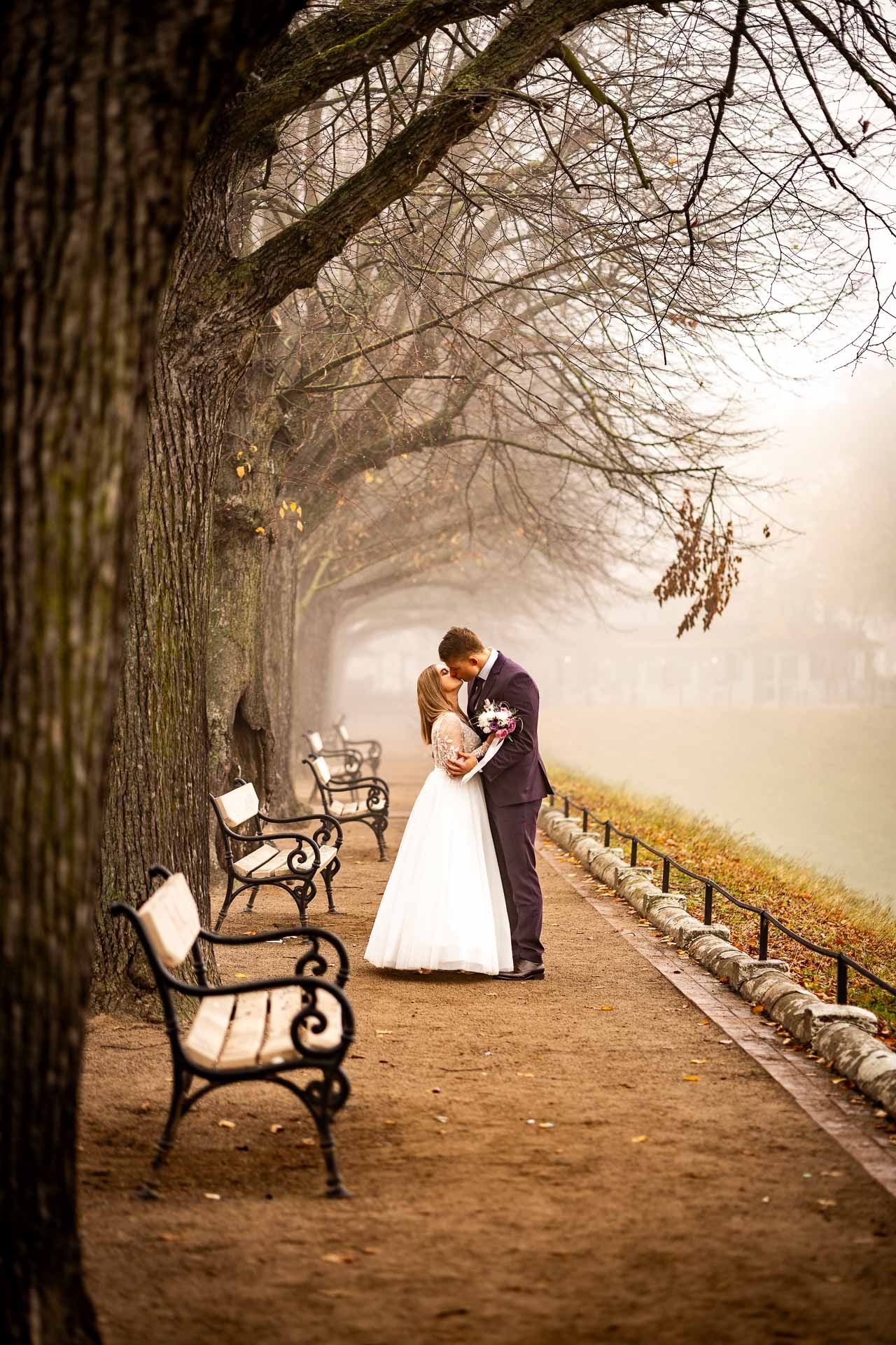 Autumn park pathway with ornate benches and misty atmosphere.