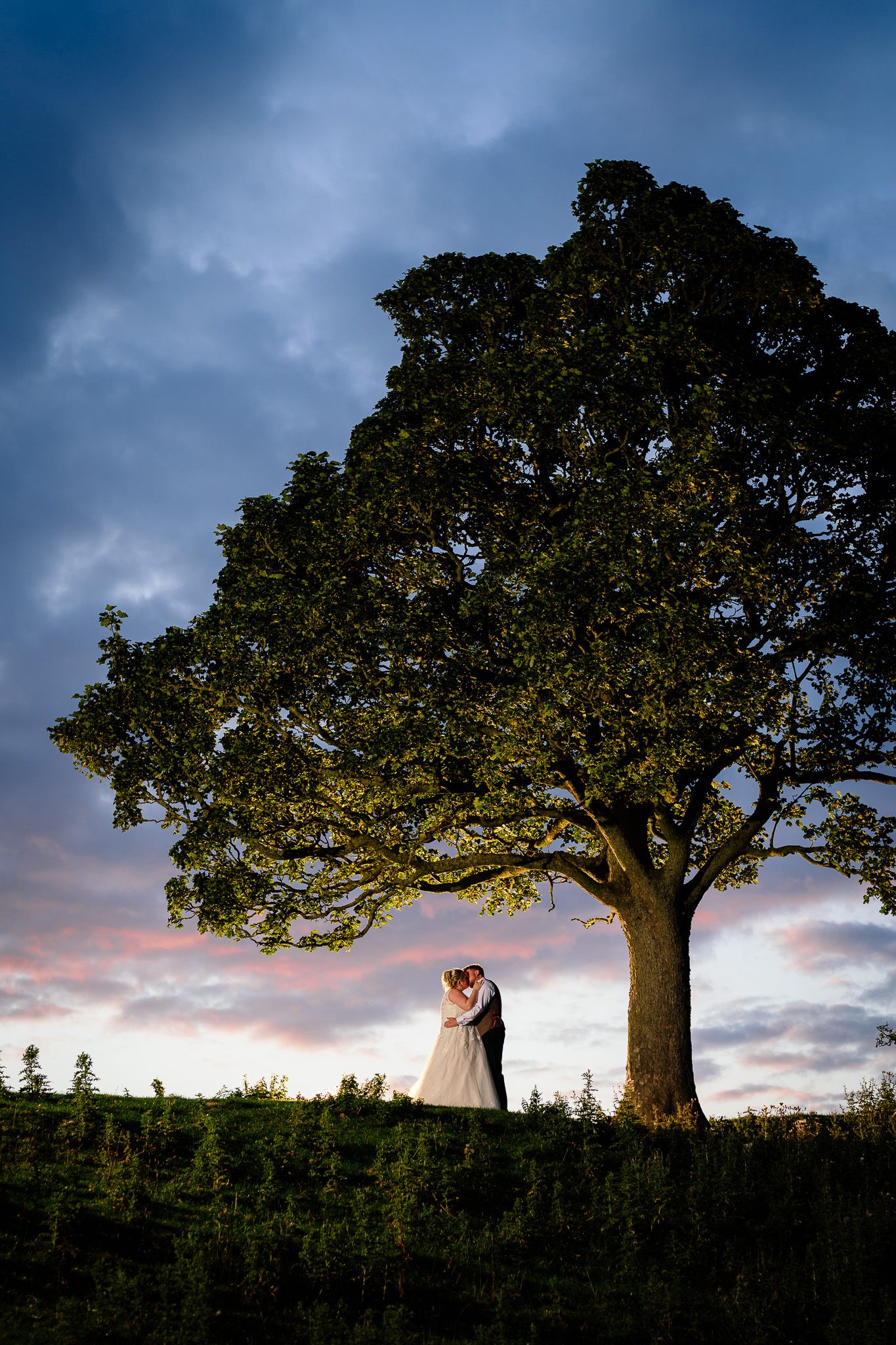 Silhouetted couple poses beneath majestic oak tree during sunset.