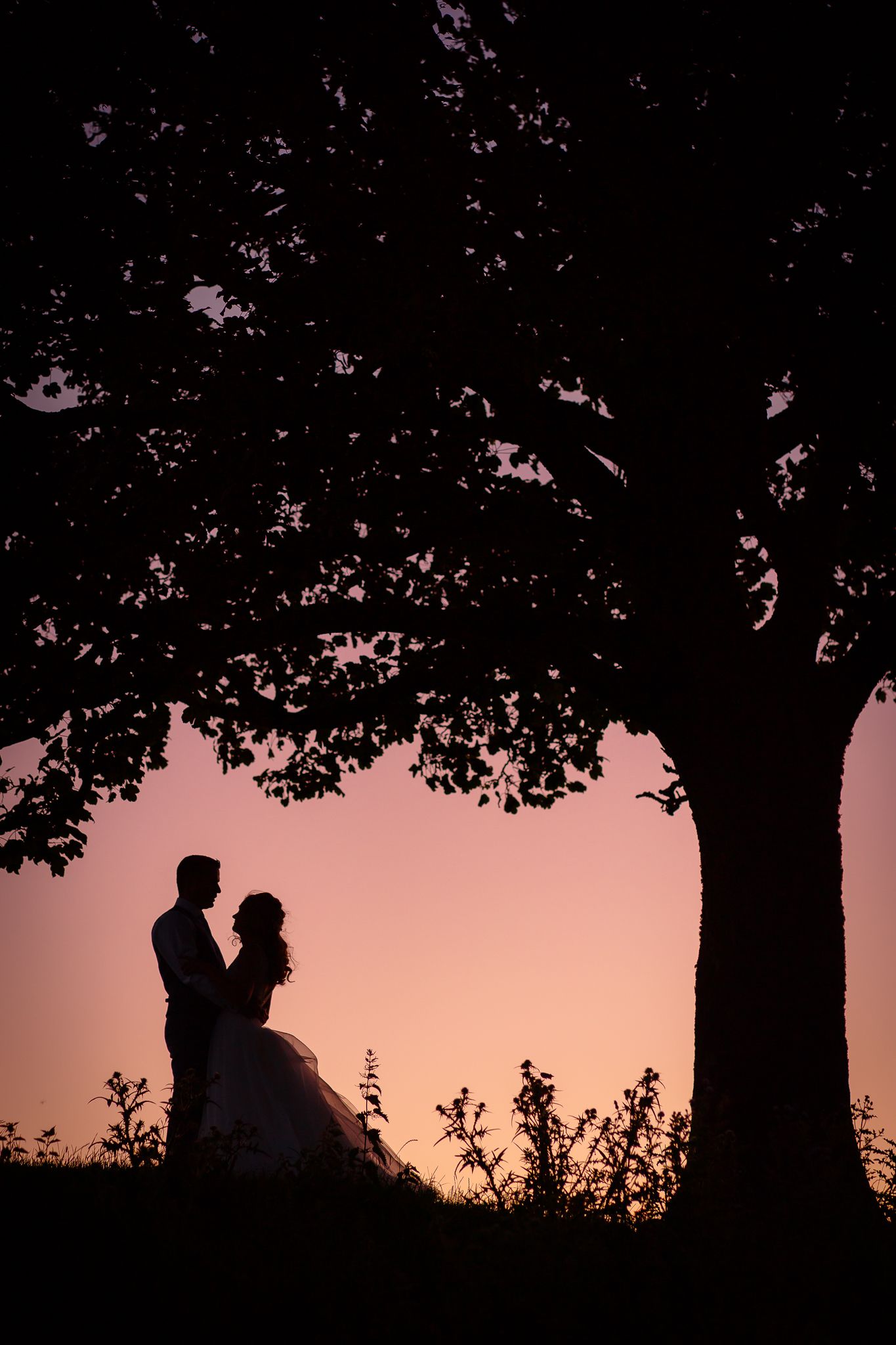 Silhouettes of people sitting under trees against a pink and orange sunset sky. Doxford Barns