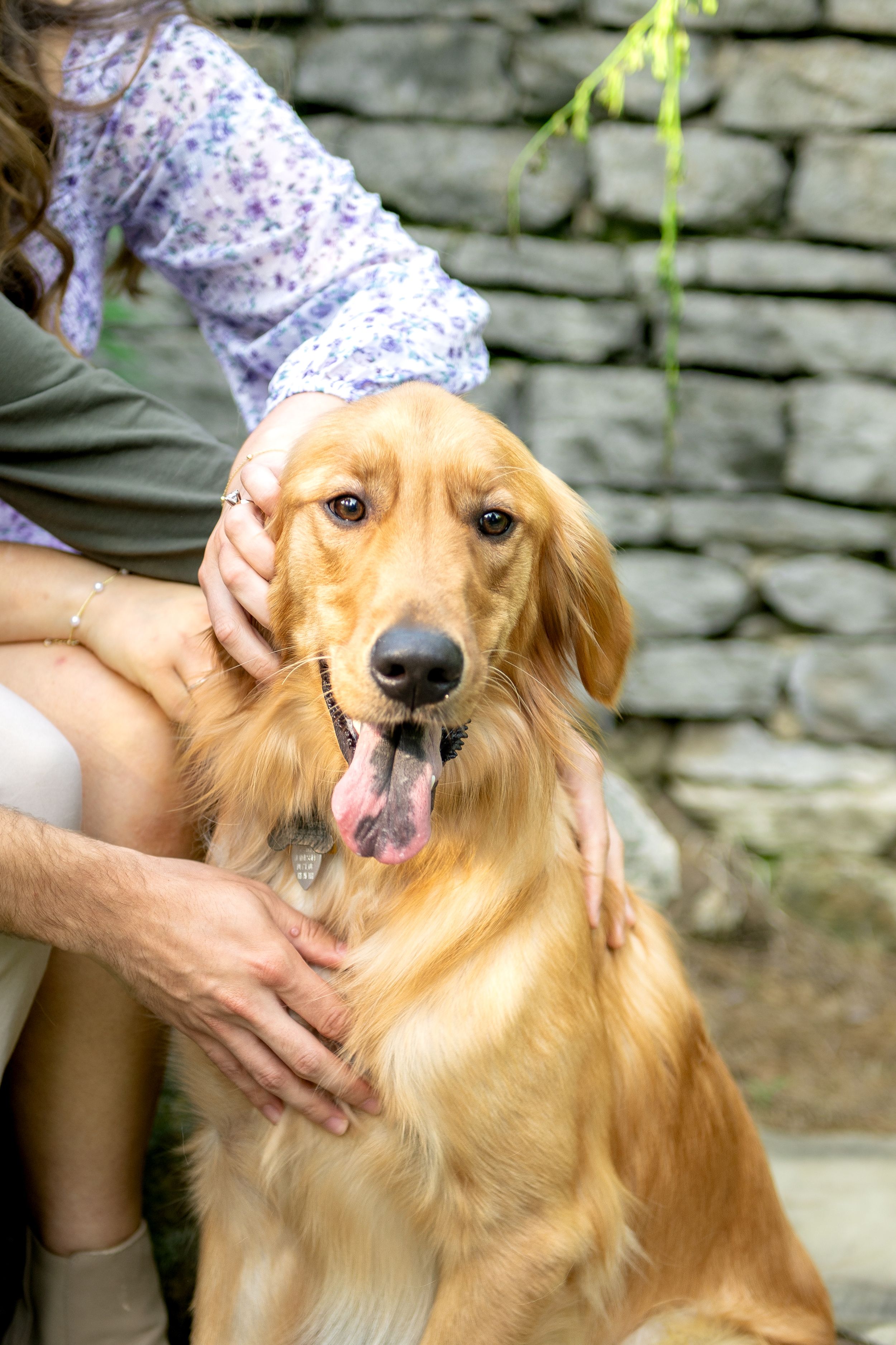 Knoxville Engagement Photographer
Knoxville Pet Photographer
Knoxville Wedding Photographer
Courtney Haskins
Courtney Renee Images