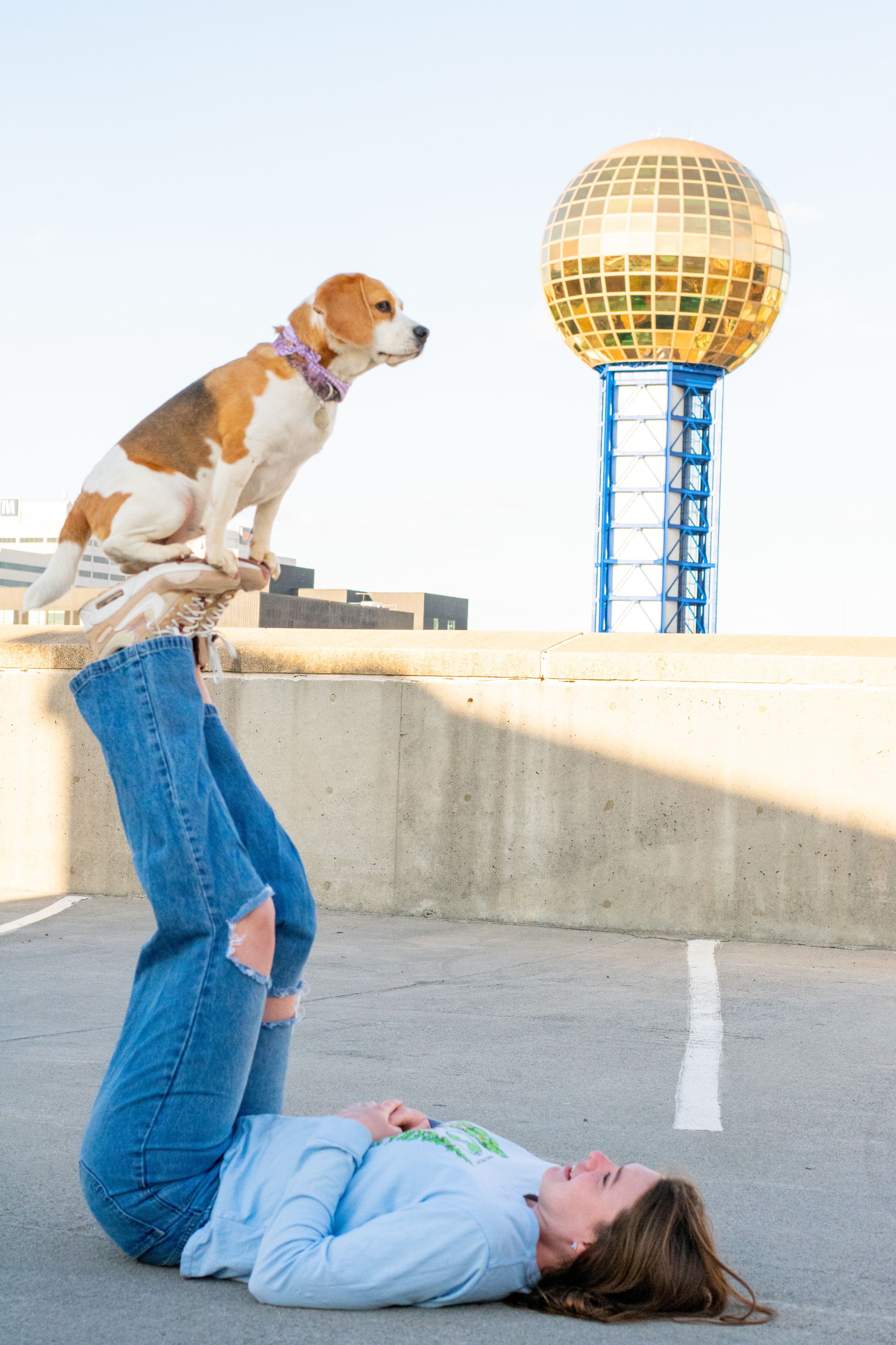 Courtney Haskins
Courtney Renee Images
Downtown Knoxville Photos
Knoxville Pet Photos
Knoxville Graduation Photographer
Sunsphere Photos