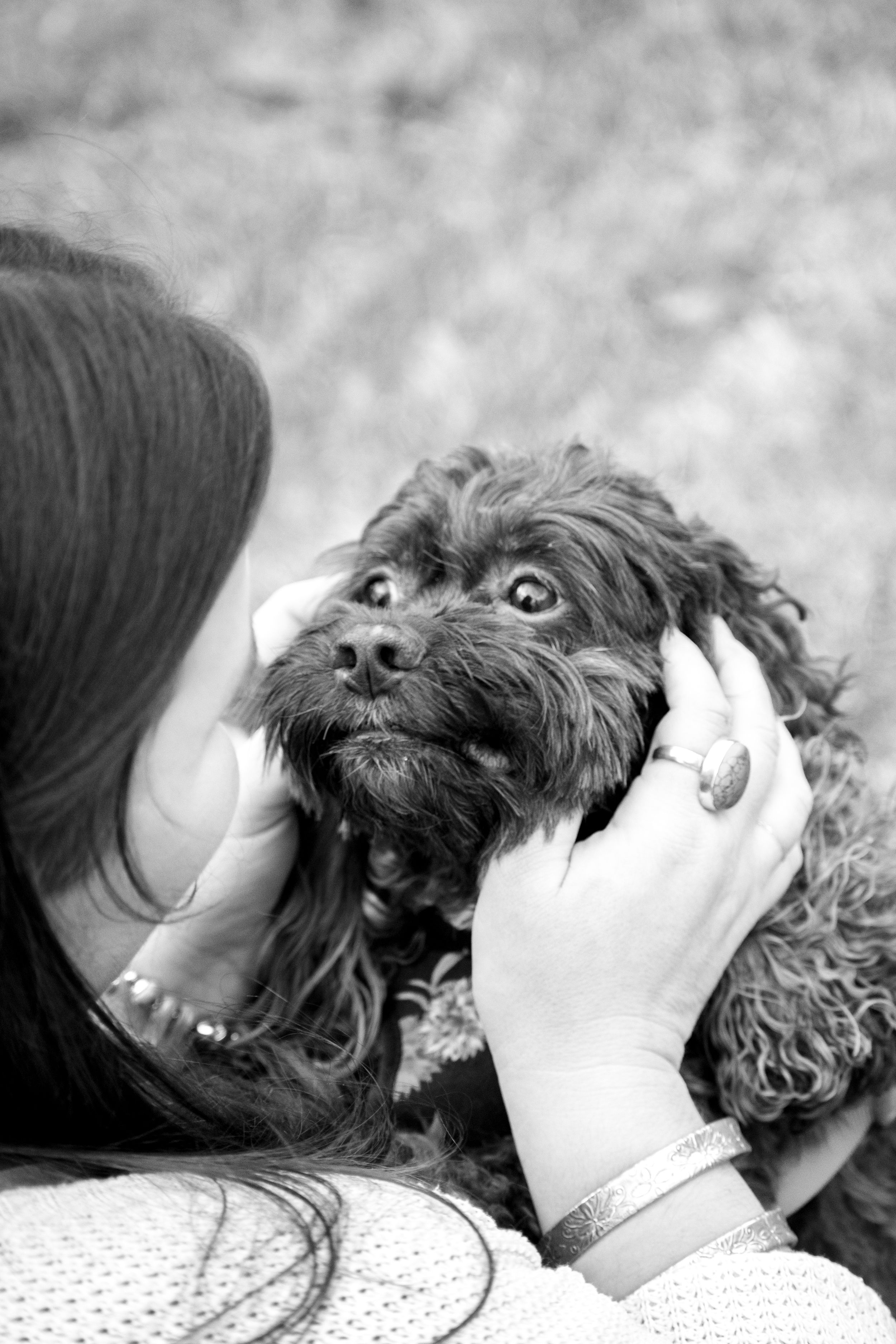 Courtney Haskins
Courtney Renee Images
Downtown Knoxville Photos
Knoxville Pet Photos
Knoxville Graduation Photographer
Sunsphere Photos