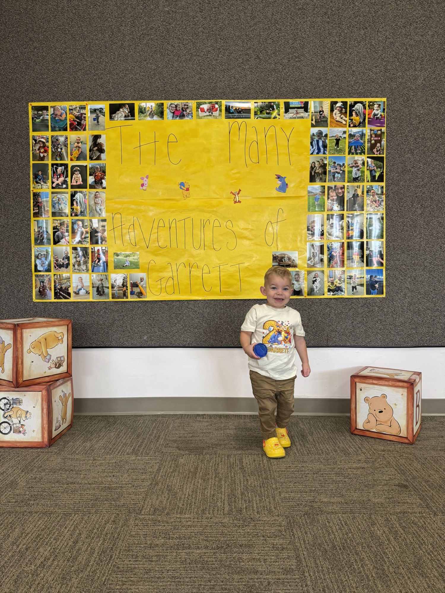 Springfield, IL Photographer shares her past year