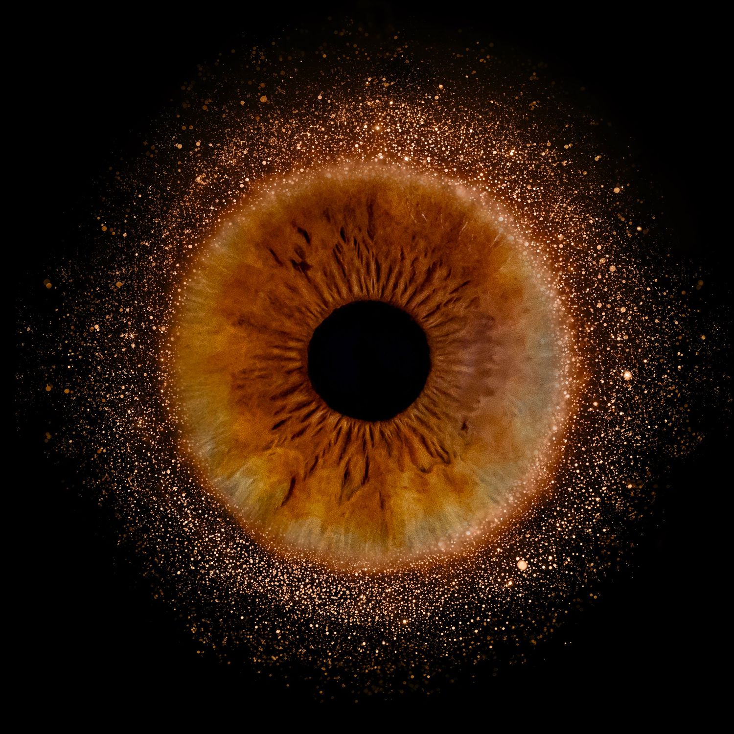 Macro photograph sequence showing an amber-colored human iris with intricate patterns and dark pupil in center.