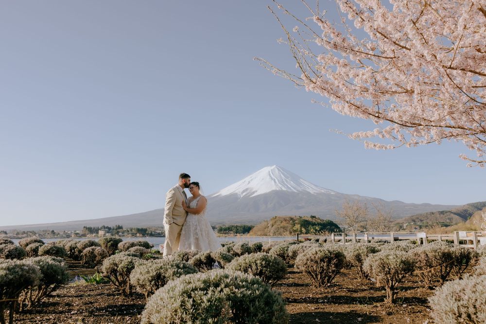 A panoramic view of Mount Fuji with cherry blossoms in the foreground during spring in Japan.