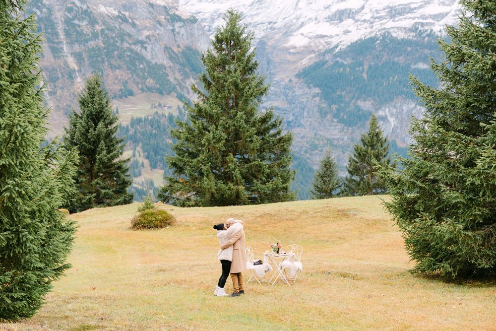 A panoramic view of mountain slopes with scattered evergreen trees and golden grass against a backdrop of snow-capped peaks.