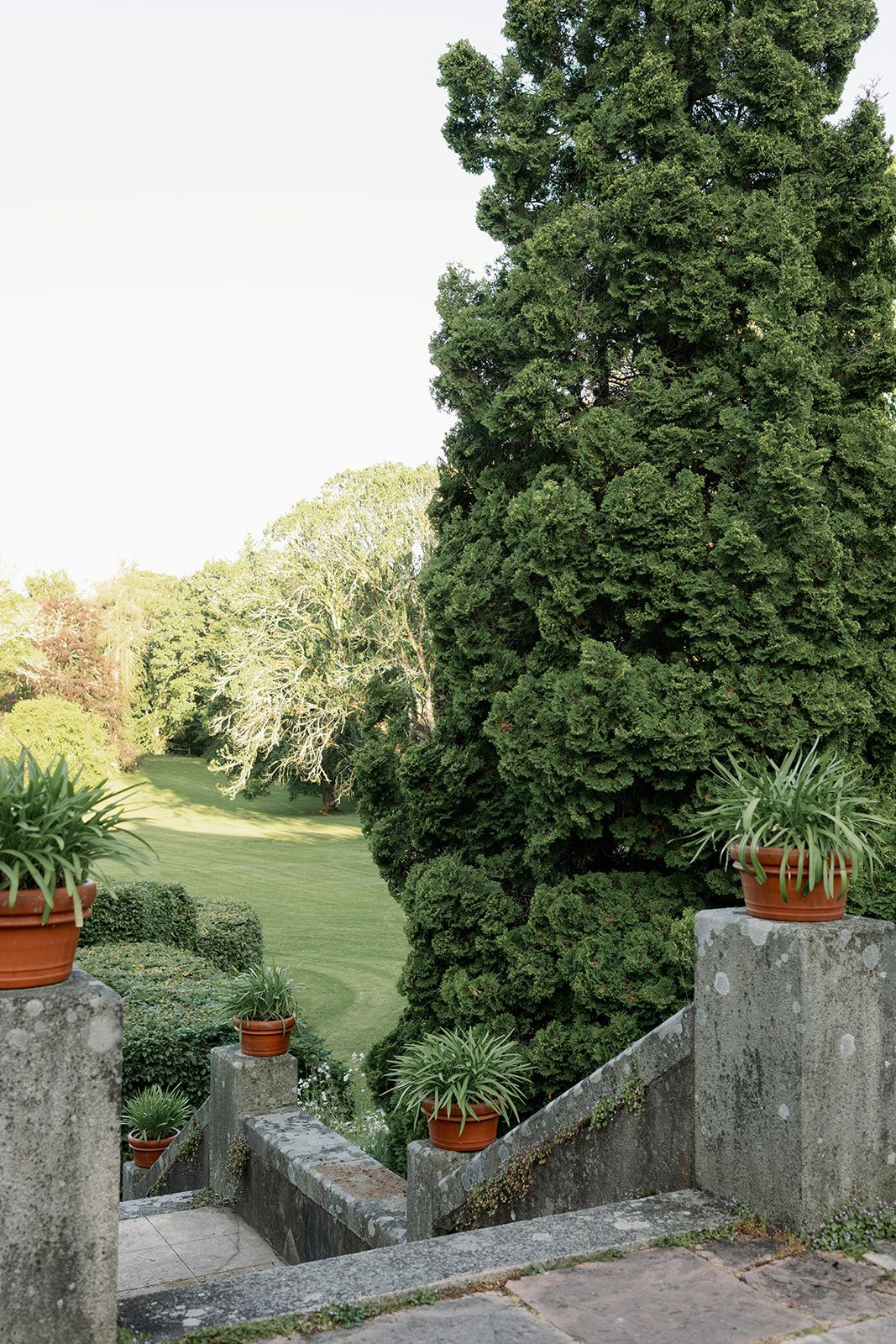 Stone steps flanked by tall cypress trees and terracotta planters lead down to a lush green garden.