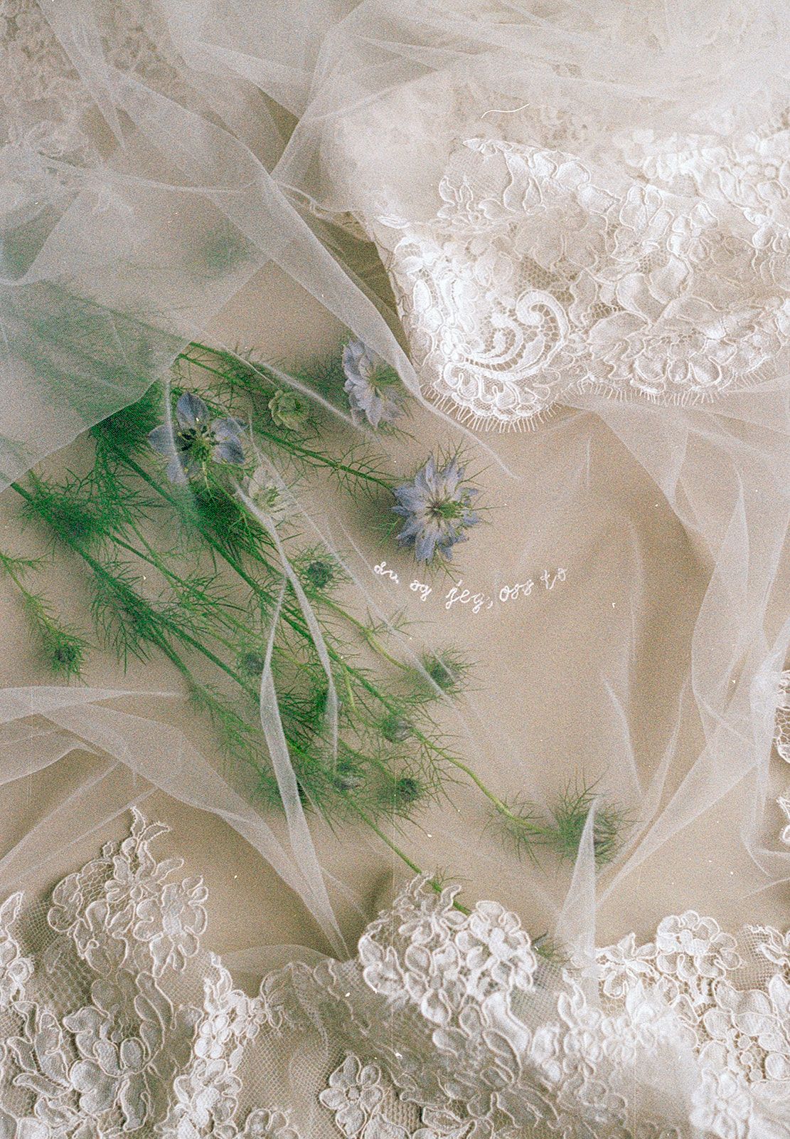 Delicate white lace fabric with green floral accents creating a romantic texture.