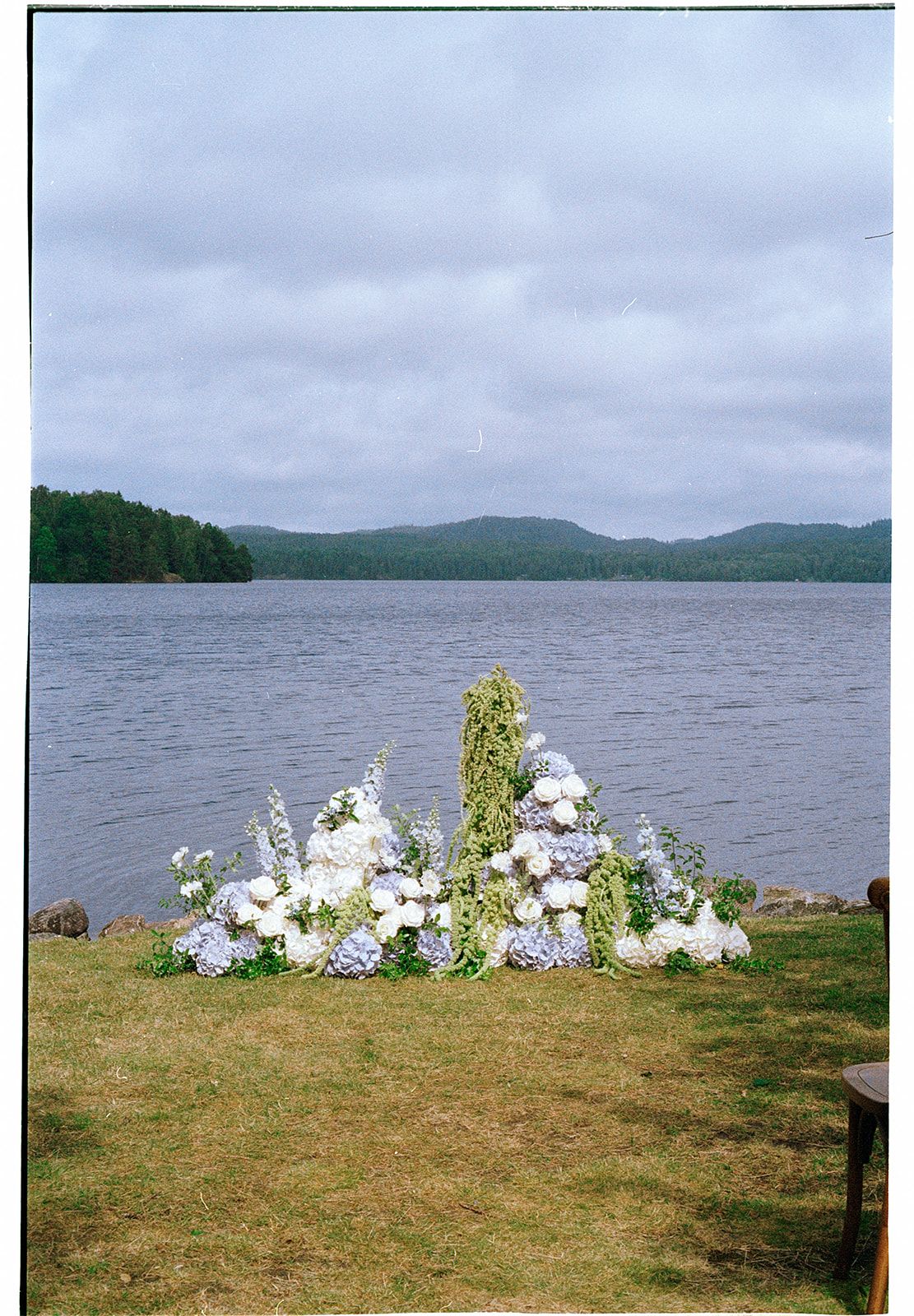 White flowers and greenery line the edge of a lake with mountains visible in the misty distance.