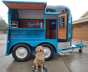 Honey's 1st Birthday