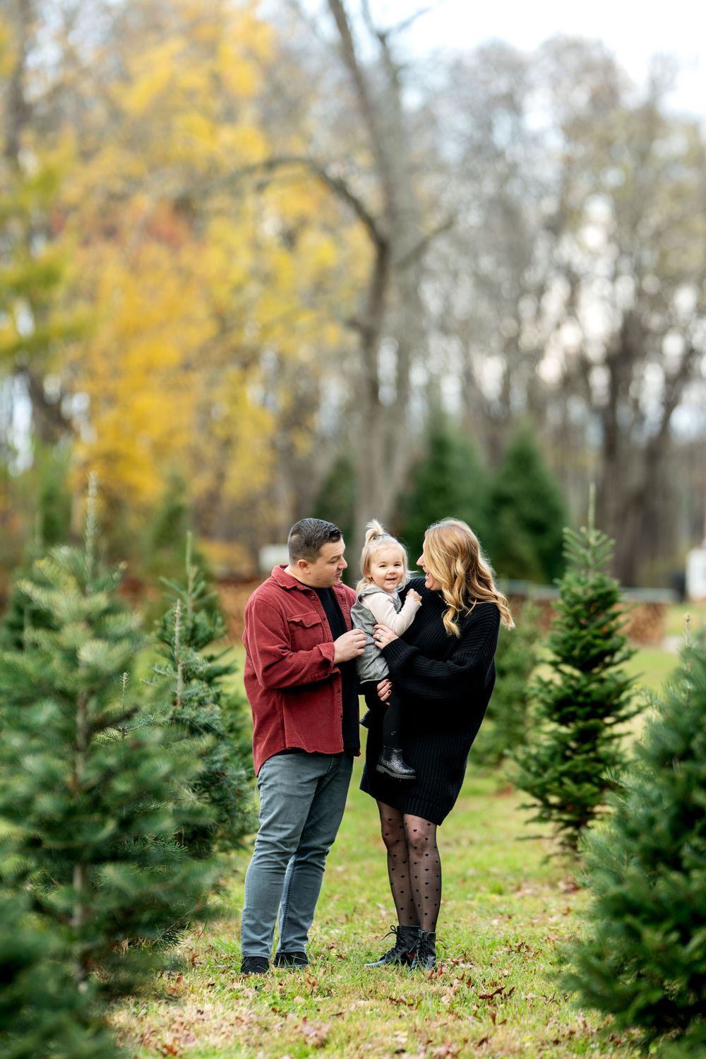 A couple and their toddler share a tender moment among Christmas trees in autumn.