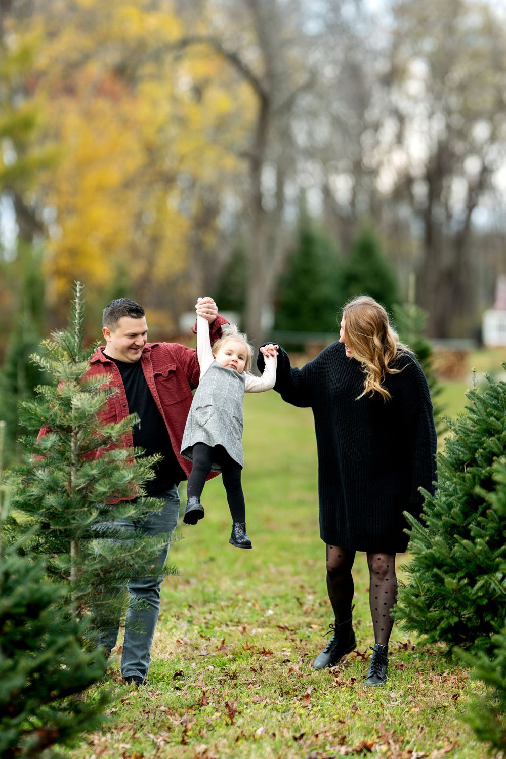 Parents playfully swing their young child between Christmas trees at an outdoor tree farm.