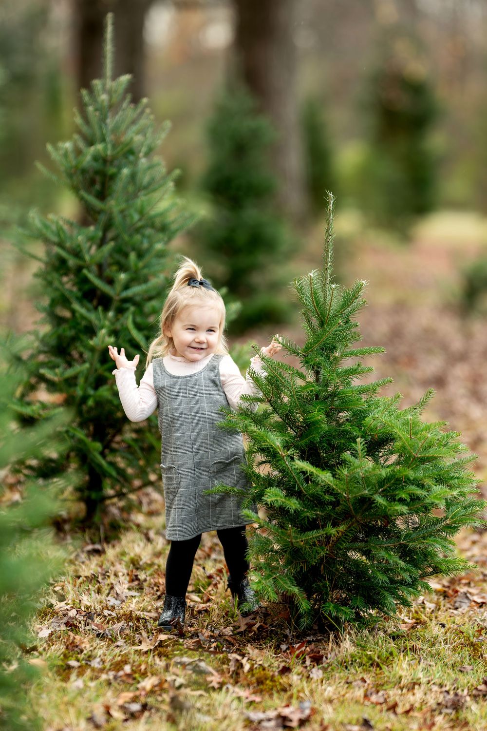 Cheerful toddler girl in gray dress stands beside small Christmas trees at a tree farm.