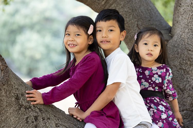Children sitting together under a large tree in a park on a sunny day during their family photography session
