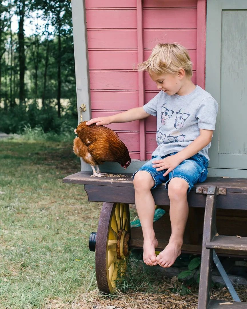 Young boy sitting outside holding a chicken, captured in natural light on a rustic wooden bench.