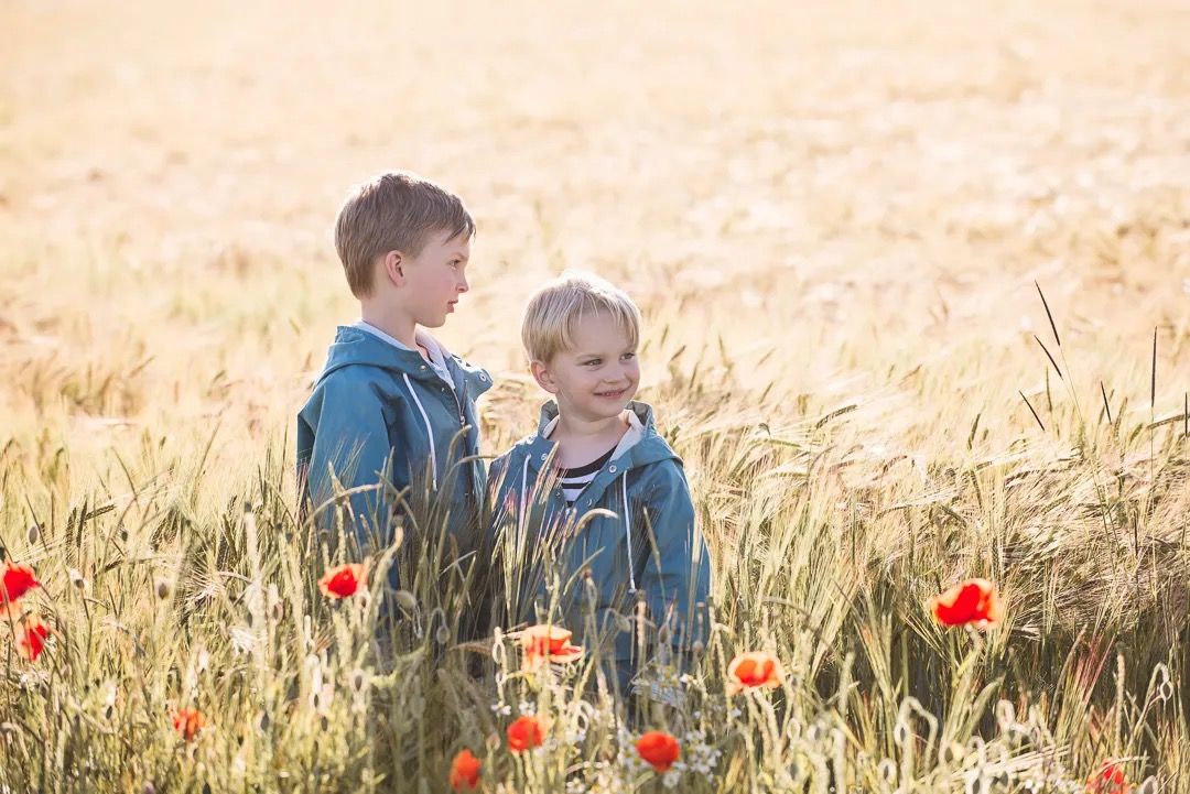 Two young brothers standing together in a golden wheat field with red poppies.