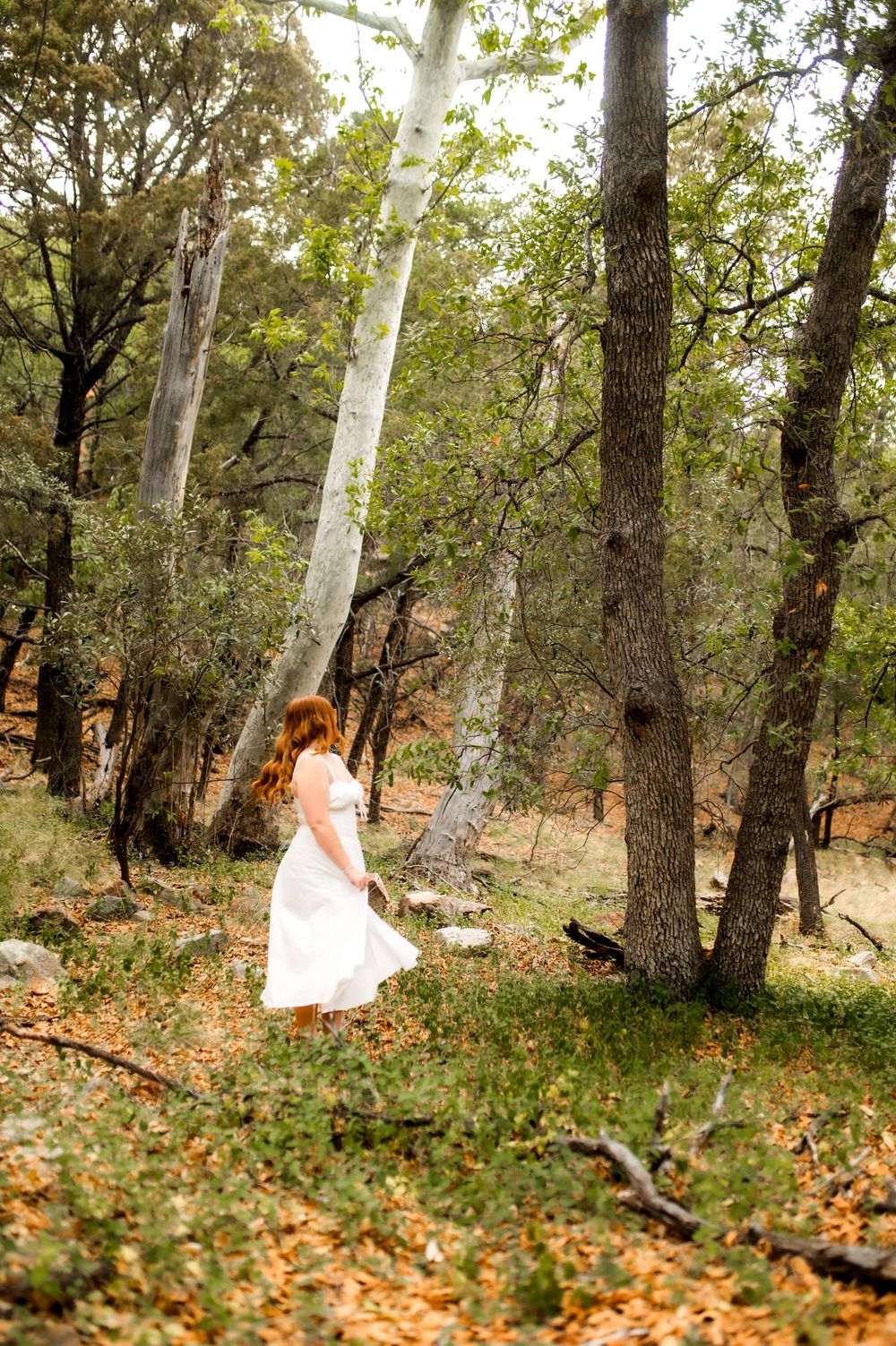 A woman in a white dress walks through a sunlit forest with tall trees and autumn leaves on the ground.