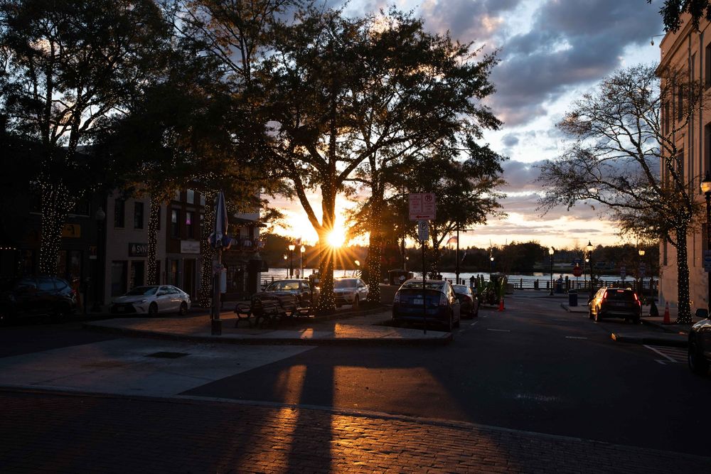 Sunset through trees illuminates a waterfront street with parked cars and historic buildings in Charleston, South Carolina.